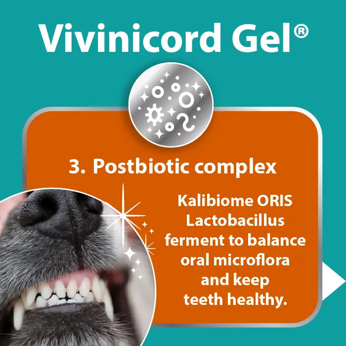 Vivinicord Gel for Cats and Dogs