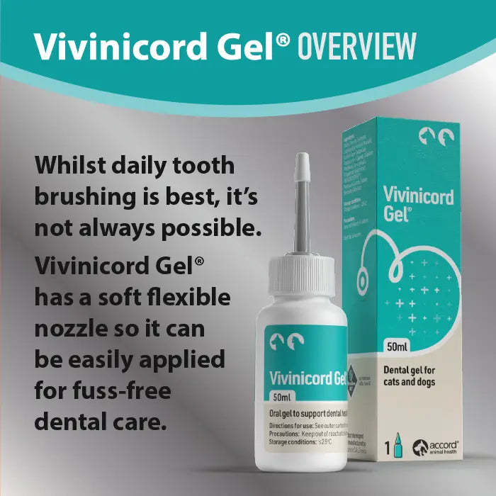 Vivinicord Gel for Cats and Dogs