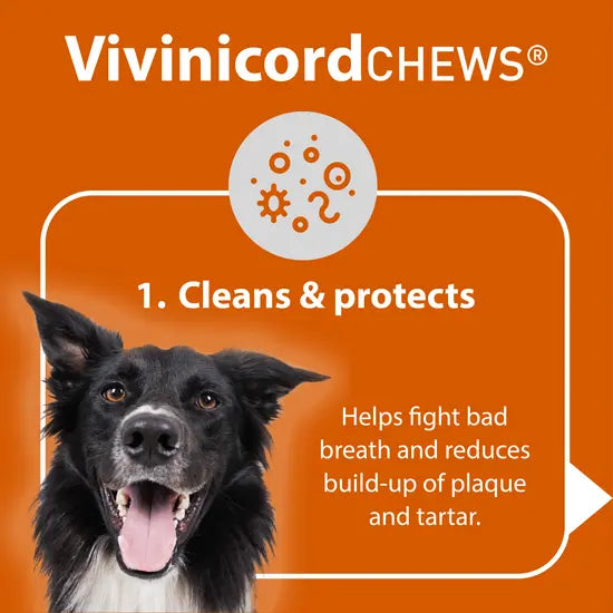 Vivinicord Dental Chews for Dogs