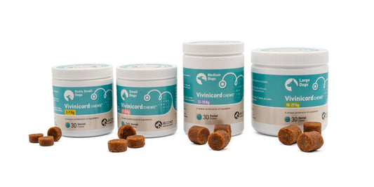 Vivinicord Dental Chews for Dogs